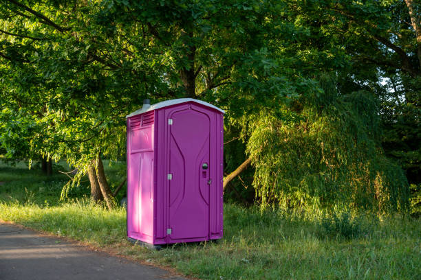 Portable Toilet Options We Offer in Belleville, WI
